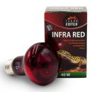 Terra Exotica Infra Red - Infrarot Reflektorstrahler - 40 Watt